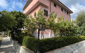 Villa Rosada